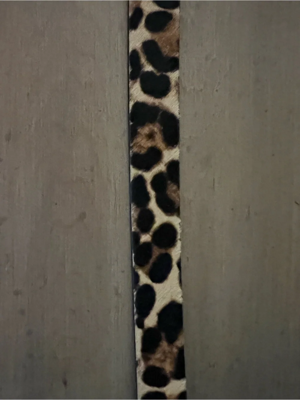 J. Crew sleek leopard